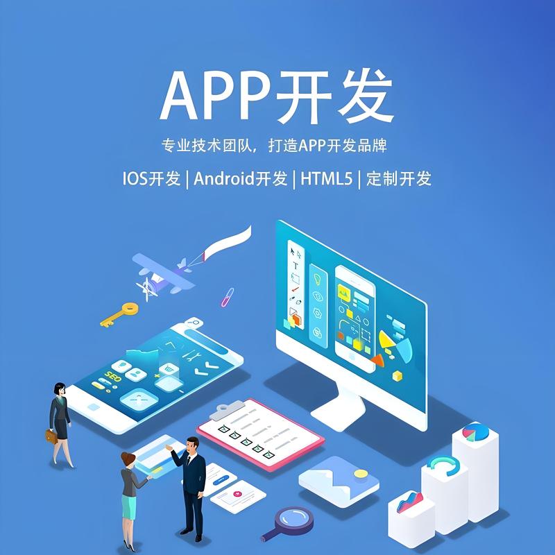 企业系统定制：打造高效工作平台的秘籍
